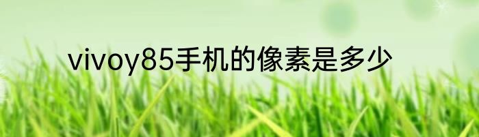 vivoy85手机的像素是多少