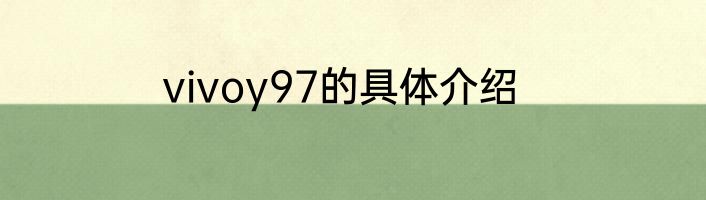 vivoy97的具体介绍