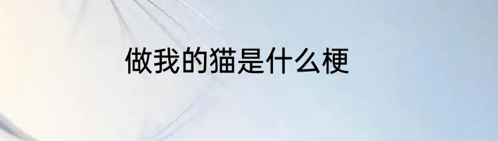 做我的猫是什么梗