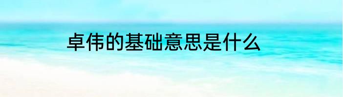 卓伟的基础意思是什么