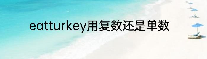eatturkey用复数还是单数