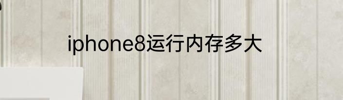 iphone8运行内存多大