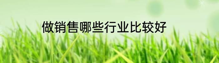 做销售哪些行业比较好