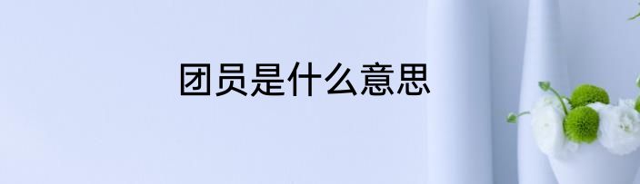 团员是什么意思
