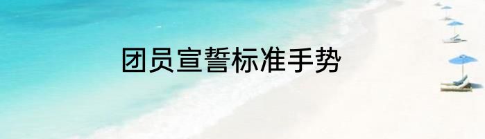 团员宣誓标准手势