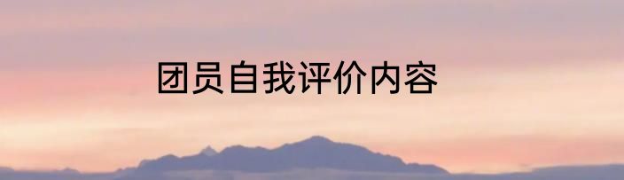 团员自我评价内容