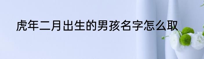 虎年二月出生的男孩名字怎么取
