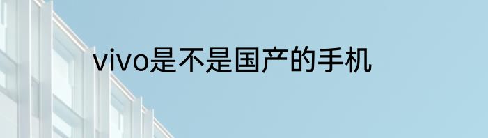 vivo是不是国产的手机