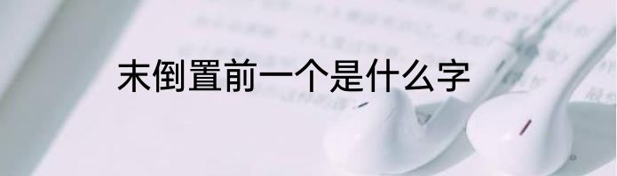 末倒置前一个是什么字