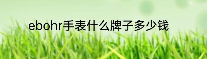 ebohr手表什么牌子多少钱
