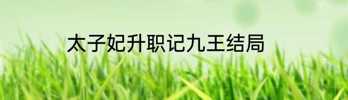 太子妃升职记九王结局