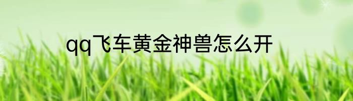 qq飞车黄金神兽怎么开