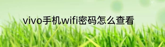 vivo手机wifi密码怎么查看