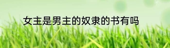 女主是男主的奴隶的书有吗