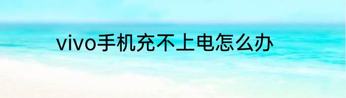 vivo手机充不上电怎么办