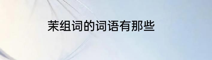 茉组词的词语有那些