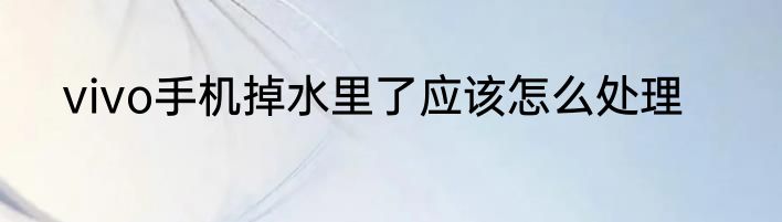 vivo手机掉水里了应该怎么处理
