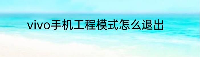 vivo手机工程模式怎么退出