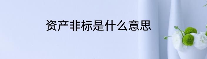 资产非标是什么意思