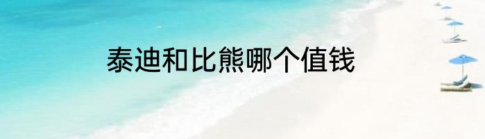 泰迪和比熊哪个值钱