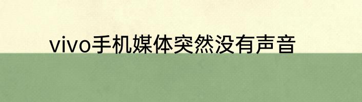 vivo手机媒体突然没有声音