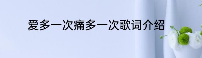 爱多一次痛多一次歌词介绍