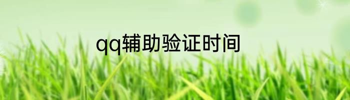 qq辅助验证时间