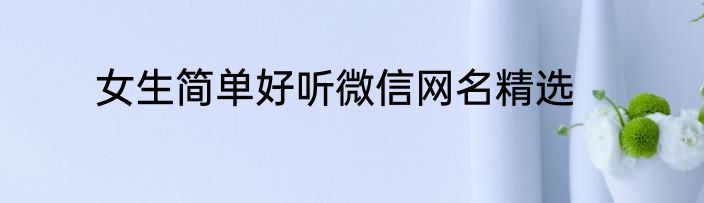 女生简单好听微信网名精选