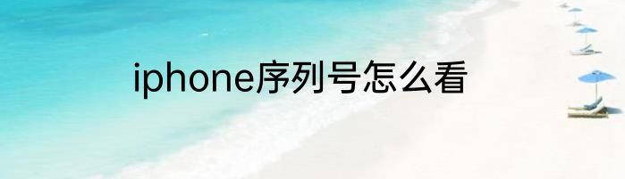 iphone序列号怎么看