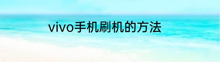 vivo手机刷机的方法