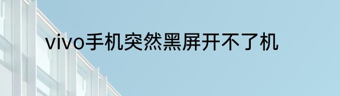 vivo手机突然黑屏开不了机