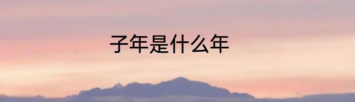 子年是什么年
