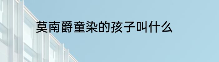 莫南爵童染的孩子叫什么