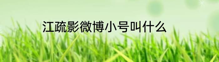 江疏影微博小号叫什么
