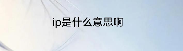 ip是什么意思啊