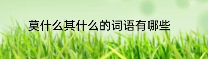 莫什么其什么的词语有哪些