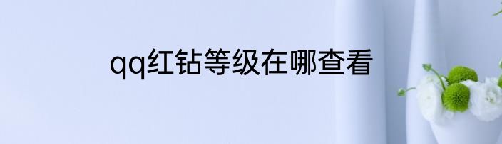 qq红钻等级在哪查看
