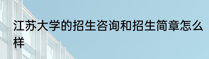 江苏大学的招生咨询和招生简章怎么样