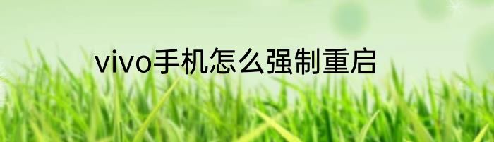 vivo手机怎么强制重启