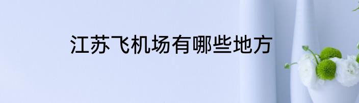 江苏飞机场有哪些地方