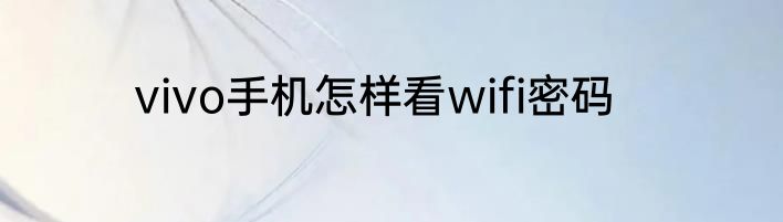 vivo手机怎样看wifi密码