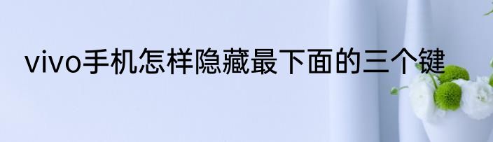vivo手机怎样隐藏最下面的三个键