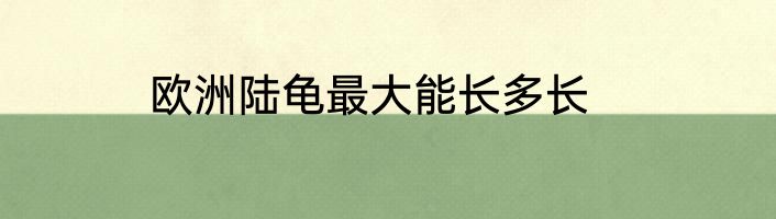 欧洲陆龟最大能长多长