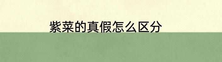 紫菜的真假怎么区分
