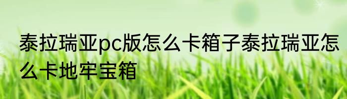 泰拉瑞亚pc版怎么卡箱子泰拉瑞亚怎么卡地牢宝箱