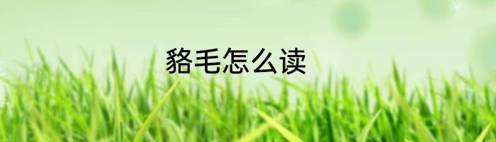 貉毛怎么读