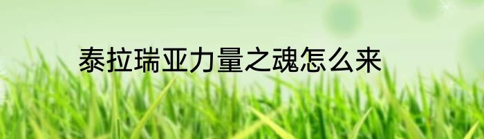 泰拉瑞亚力量之魂怎么来