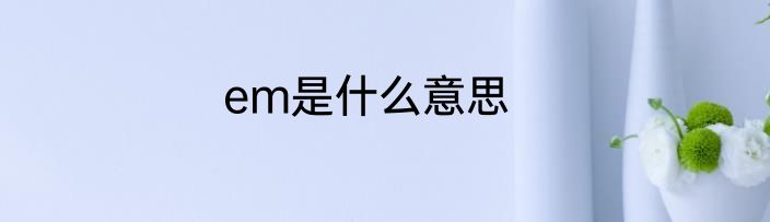 em是什么意思