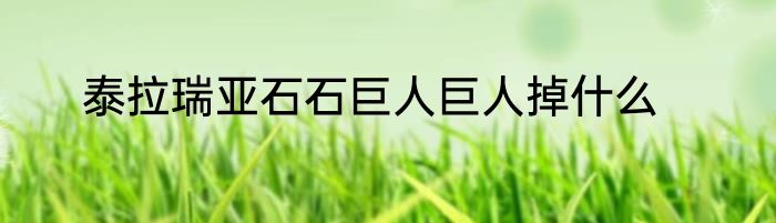 泰拉瑞亚石石巨人巨人掉什么