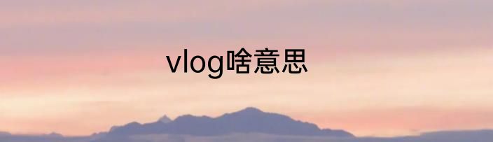vlog啥意思